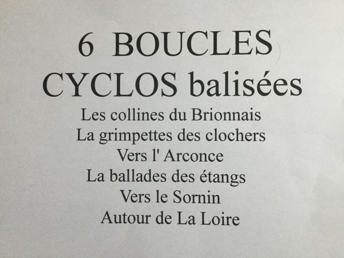 Gite De Belle Vue Semur-en-Brionnais Eksteriør billede