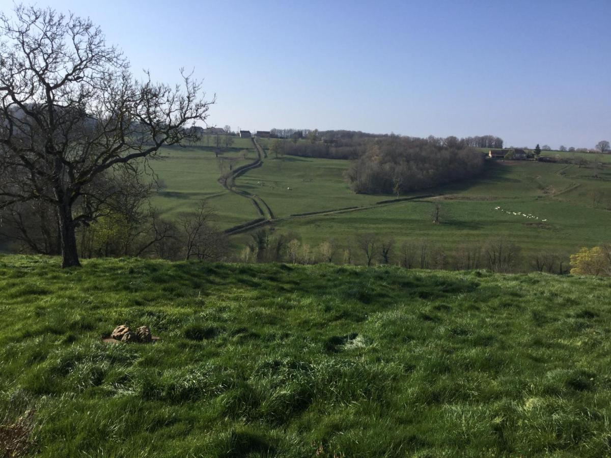 Gite De Belle Vue Semur-en-Brionnais Eksteriør billede