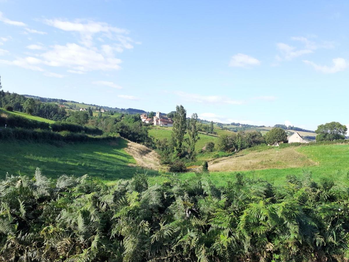 Gite De Belle Vue Semur-en-Brionnais Eksteriør billede