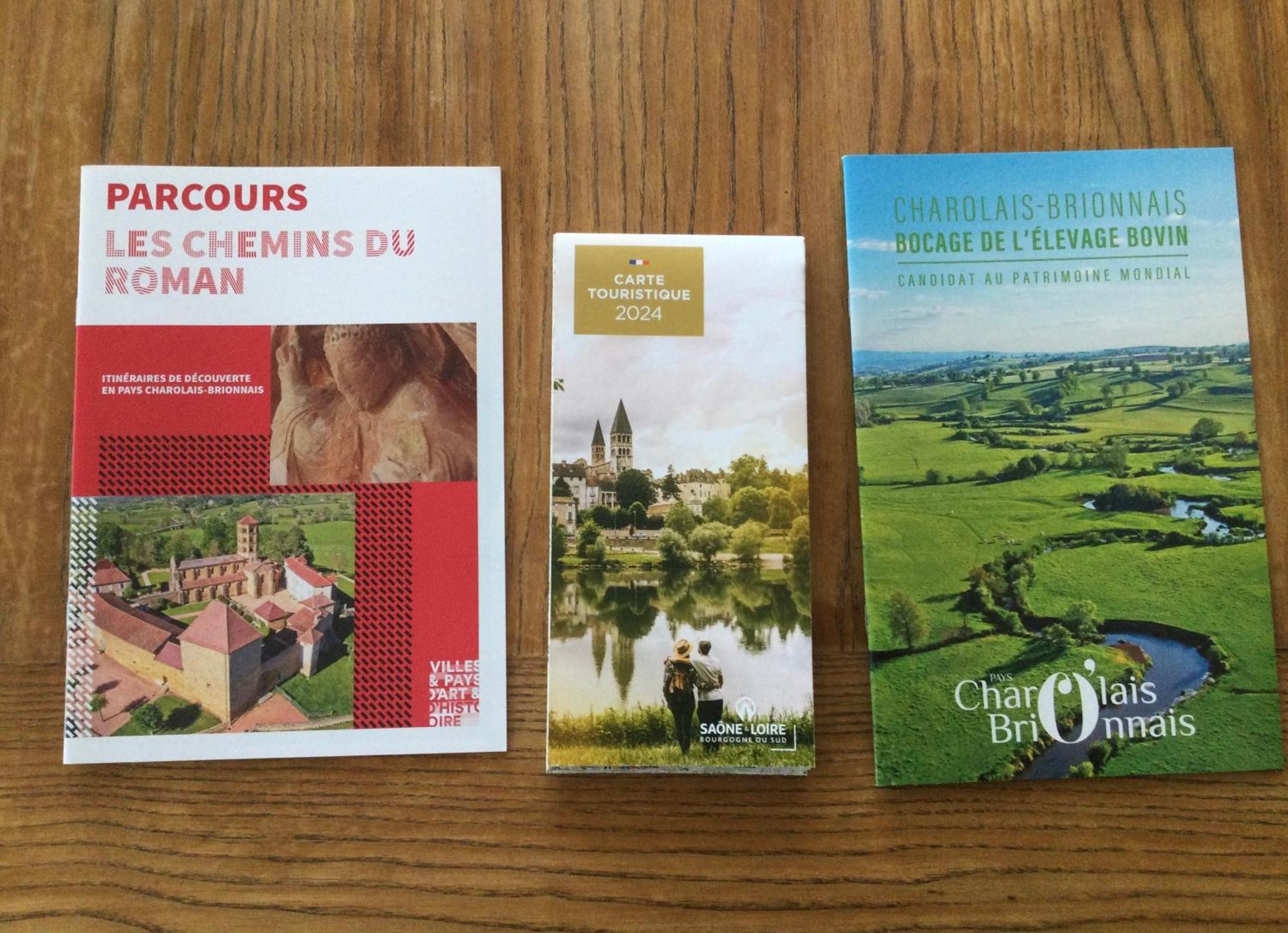 Gite De Belle Vue Semur-en-Brionnais Eksteriør billede