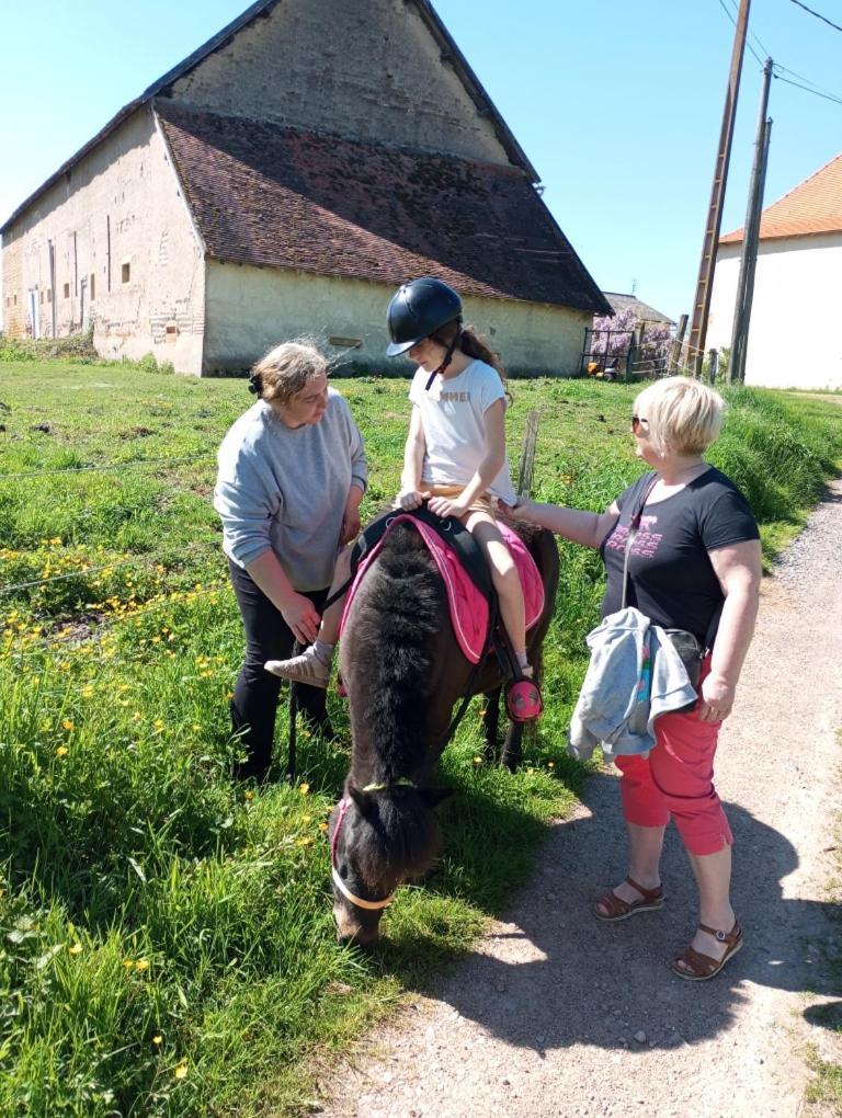 Gite De Belle Vue Semur-en-Brionnais Eksteriør billede